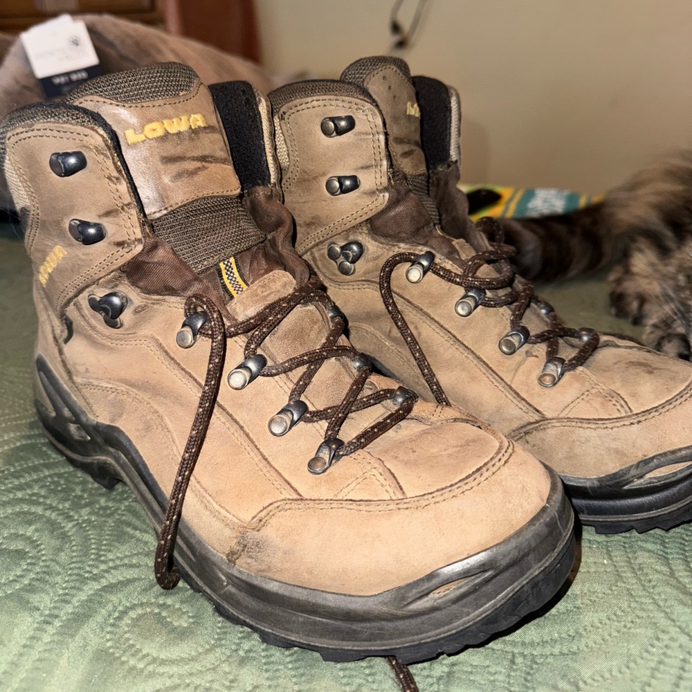 Lowa Renegade GTX Mid Hiking Boots—Men’s